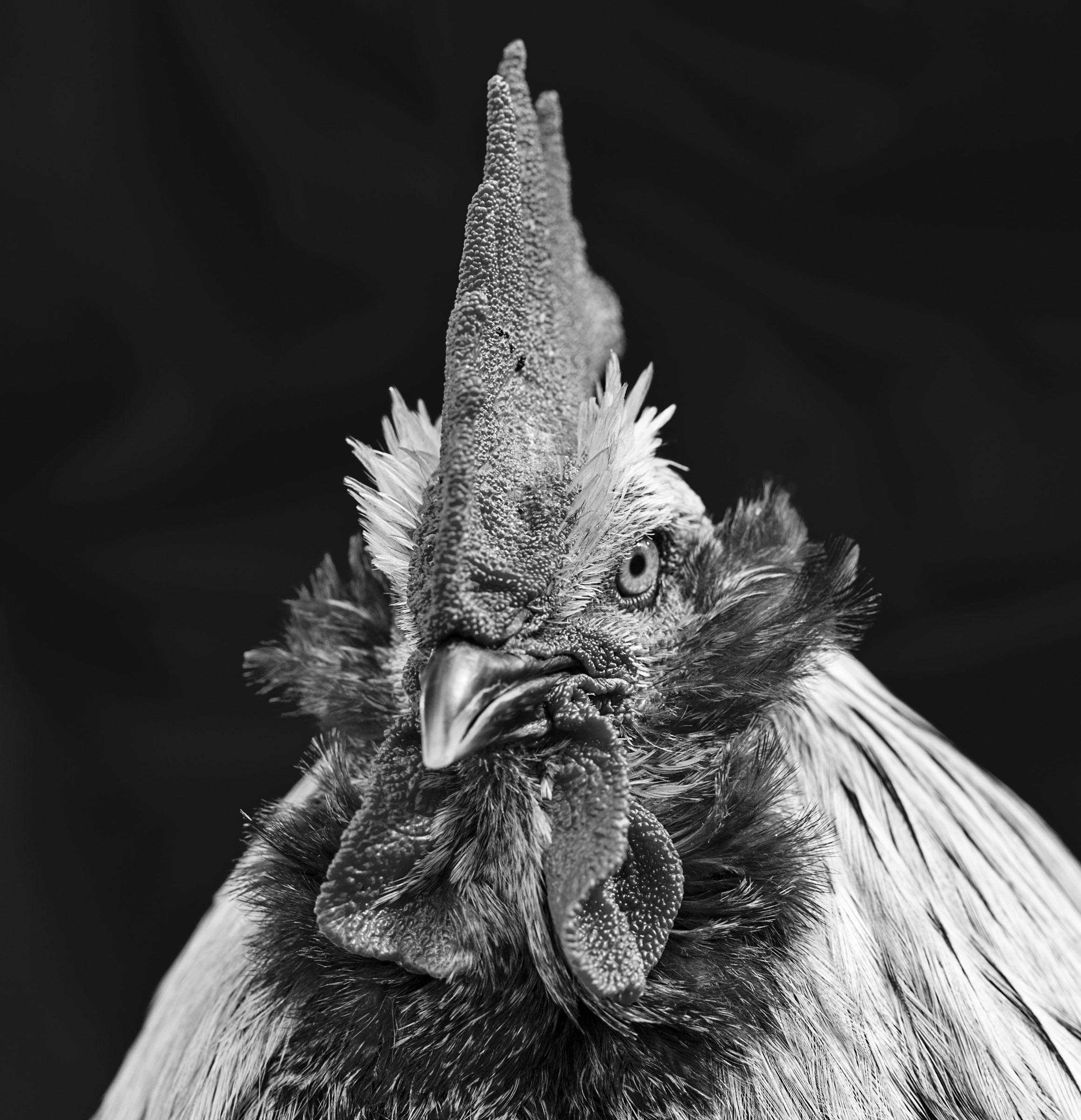 Foto: inge prader