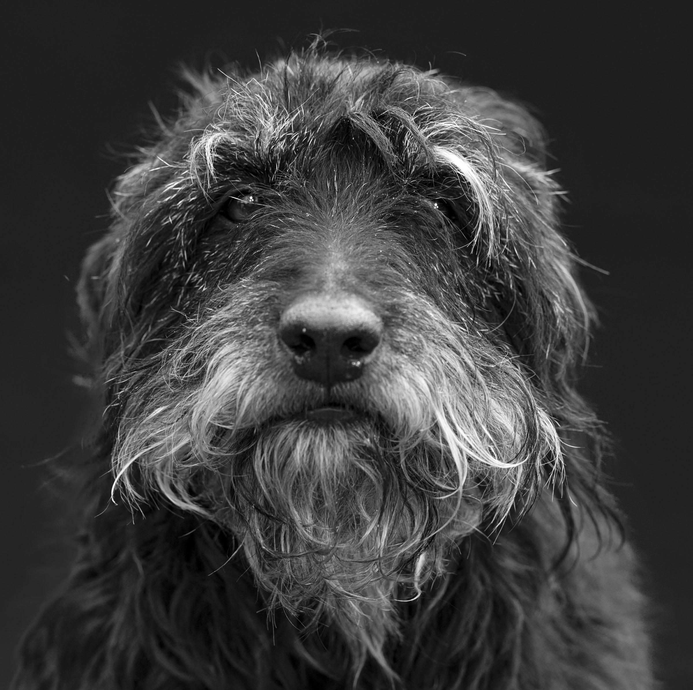 Foto: inge prader