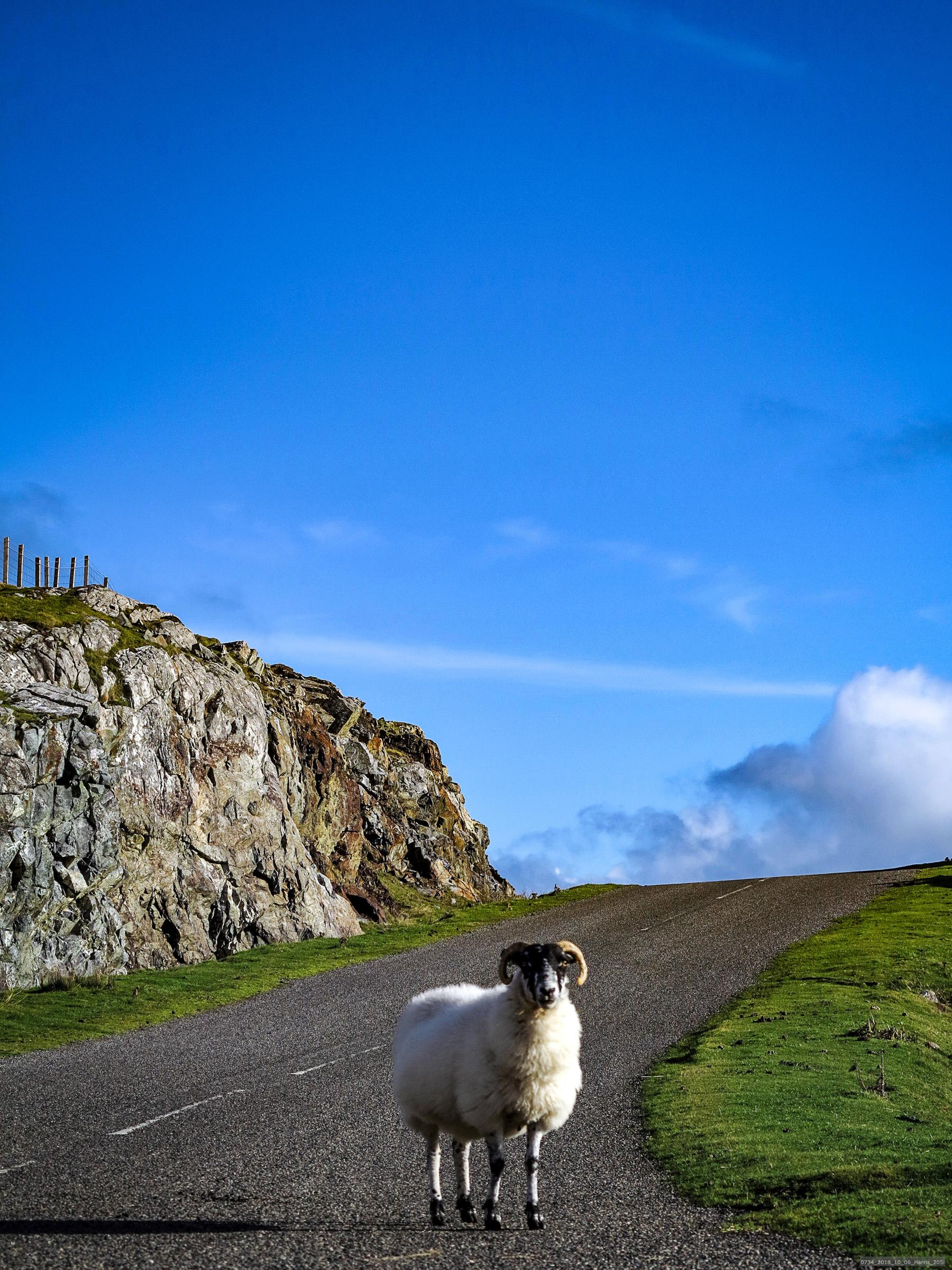 Foto: inge prader