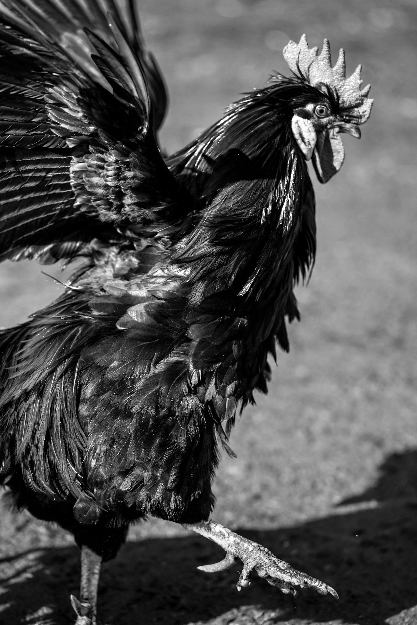 Foto: inge prader