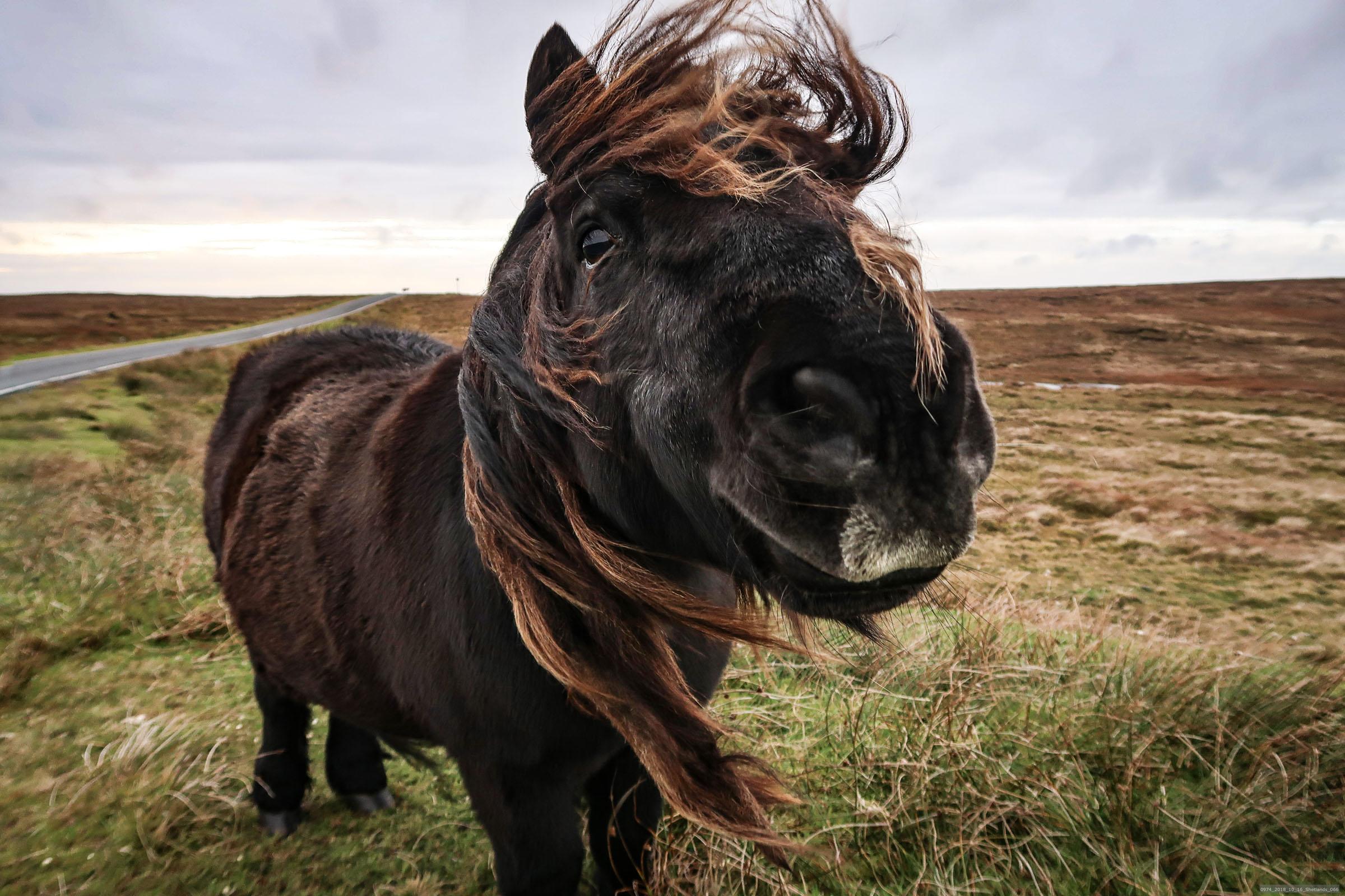Foto: inge prader