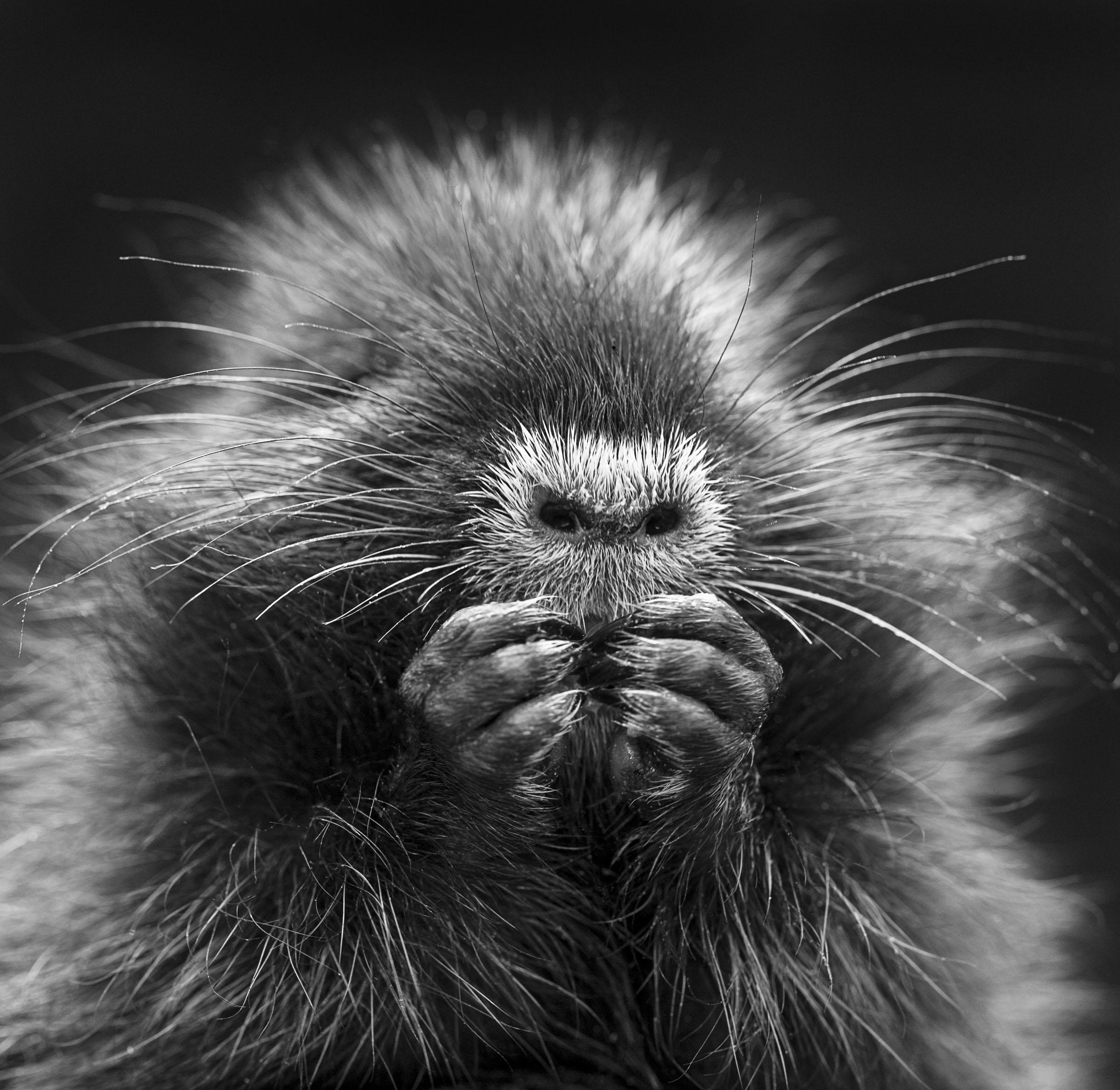 Foto: inge prader