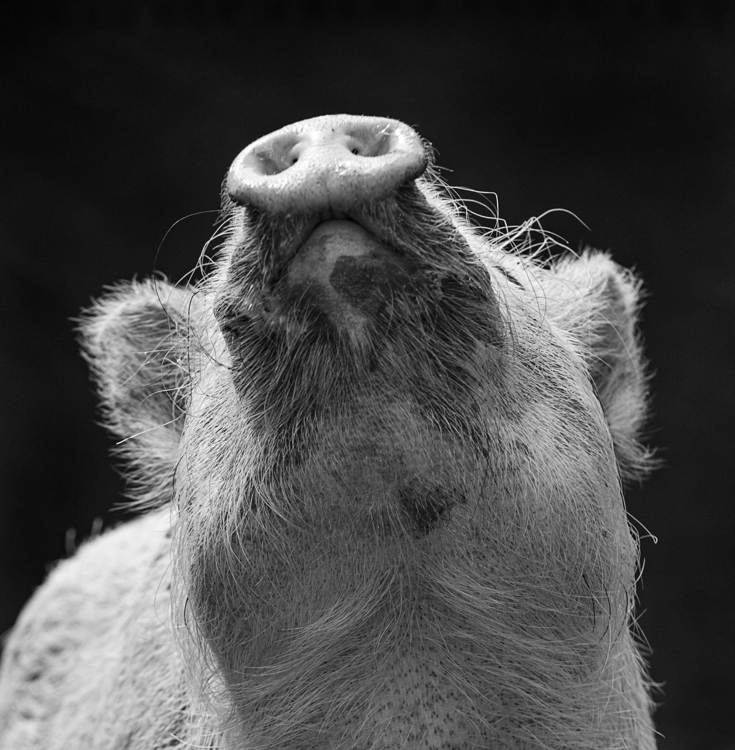 Foto: inge prader