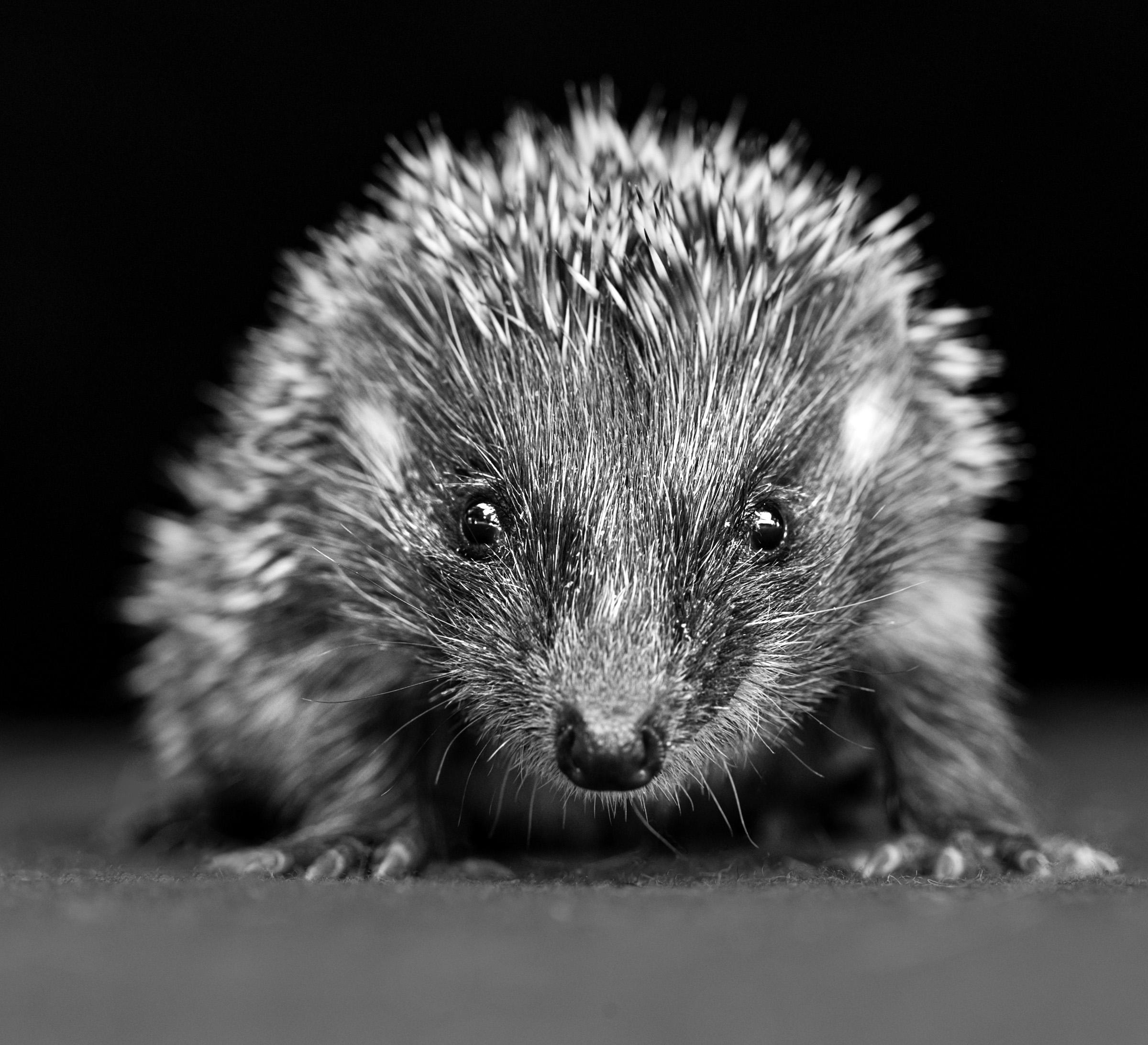 Foto: inge prader
