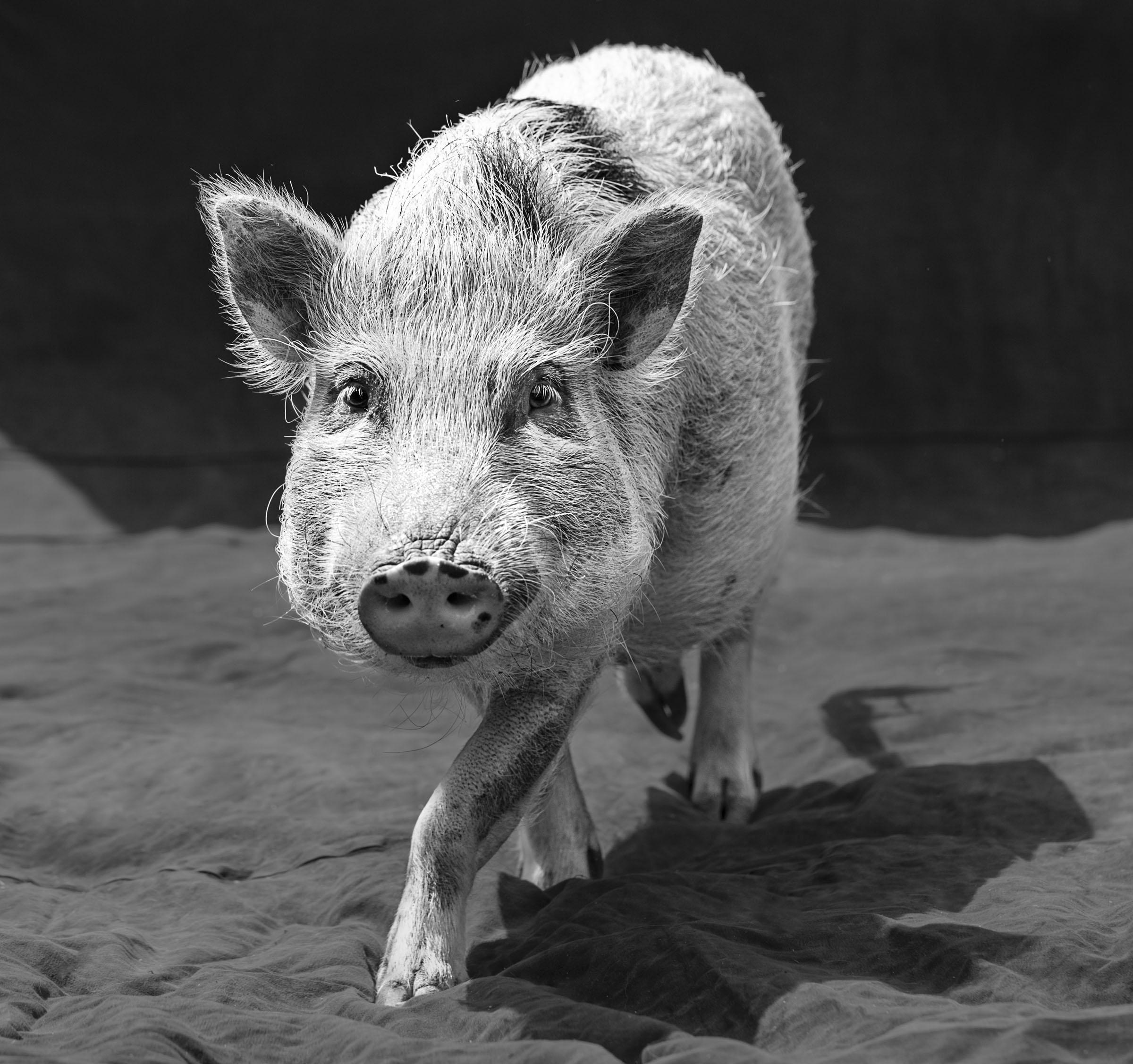 Foto: inge prader